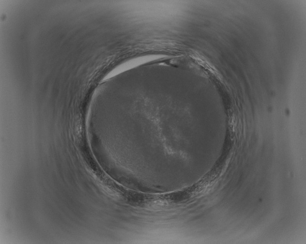 X0000074230593200609081623