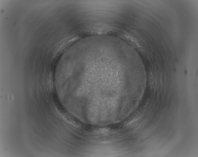 X0000074230594200609081623