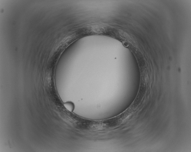 X0000074230595200609081623