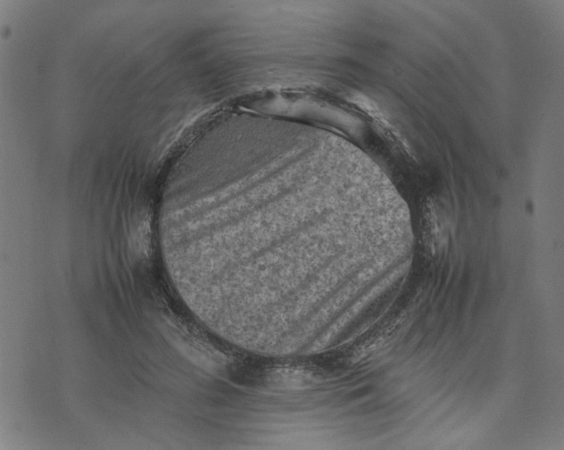 X0000074230596200609081623