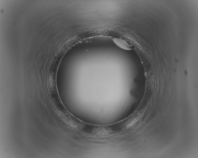 X0000074230597200609081623