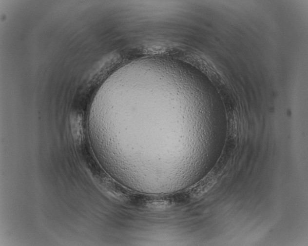 X0000074230598200609081623