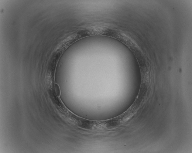 X0000074230599200609081623