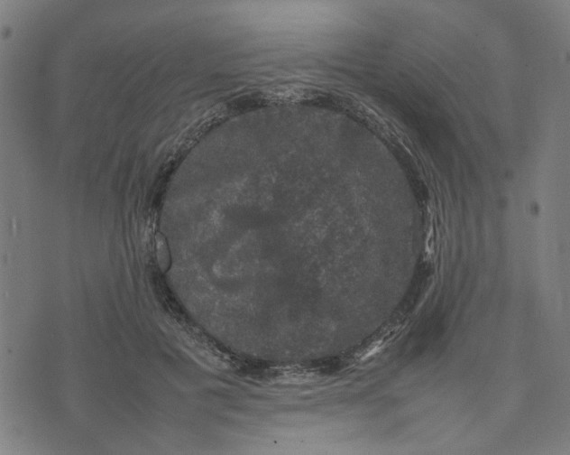 X0000074230601200609081623