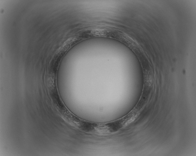 X0000074230603200609081623