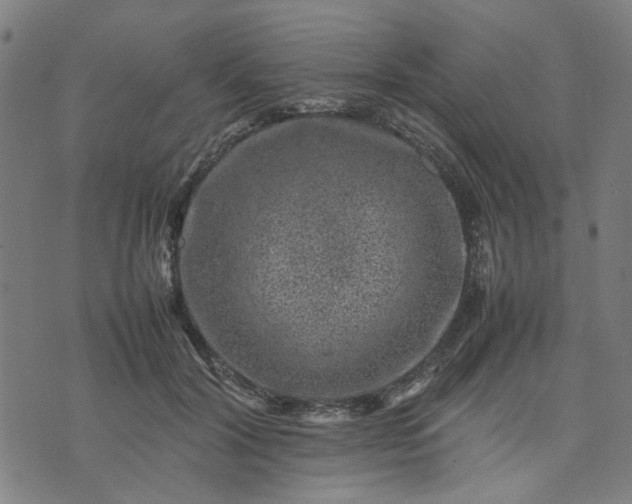 X0000074230604200609081623