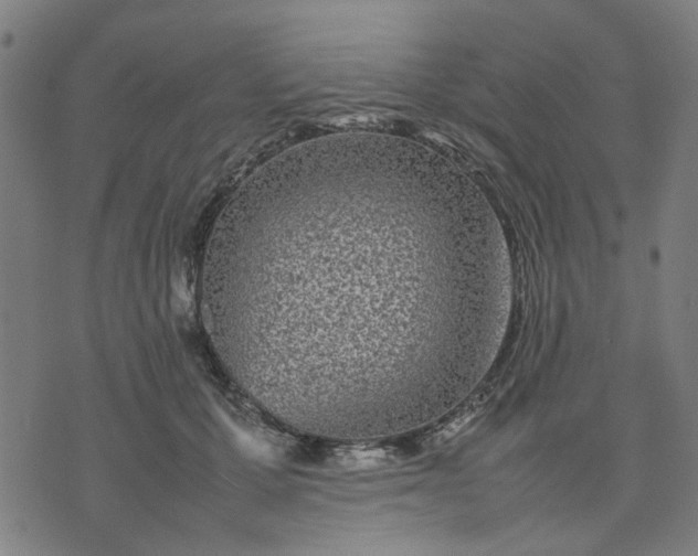 X0000074230607200609081623