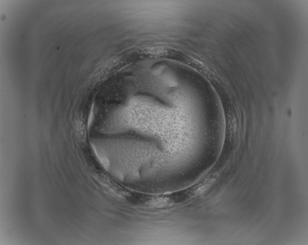 X0000074230609200609081623