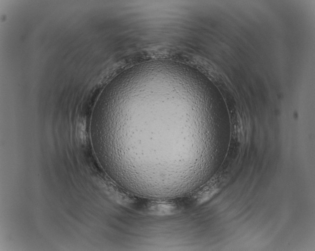 X0000074230610200609081623