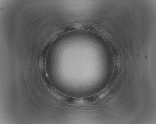 X0000074230611200609081623