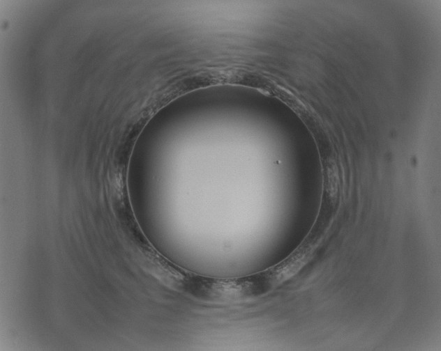 X0000074230613200609081623