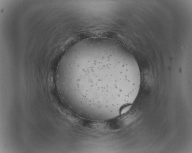 X0000074230615200609081623