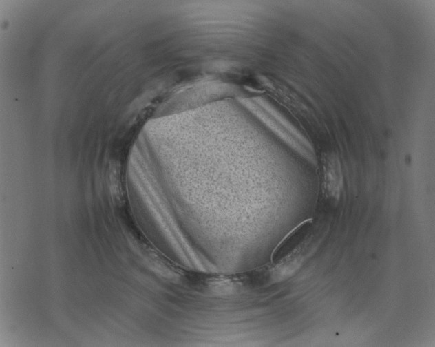 X0000074230616200609081623