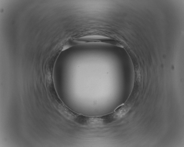 X0000074230617200609081623