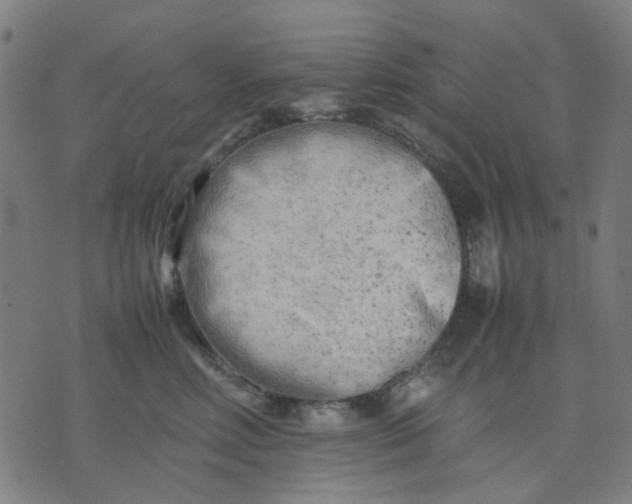 X0000074230618200609081622