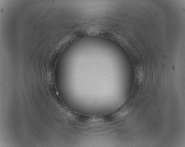 X0000074230619200609081622