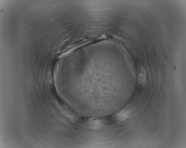 X0000074230620200609081622