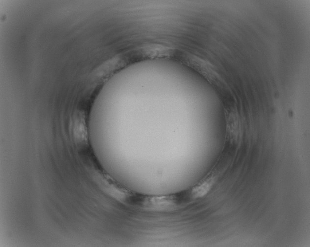 X0000074230622200609081622