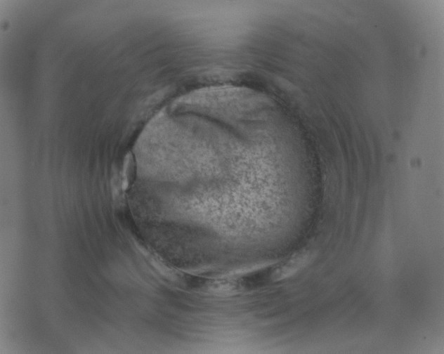 X0000074230624200609081622