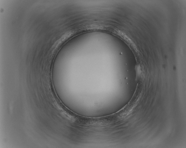 X0000074230625200609081622