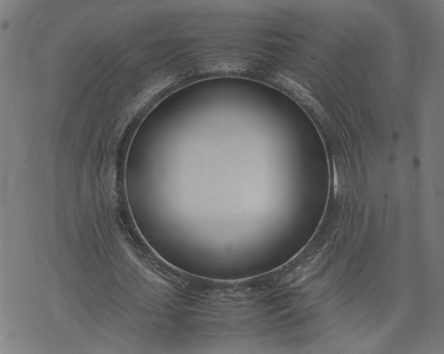 X0000074230627200609081622