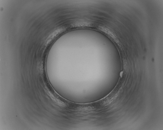 X0000074230629200609081622