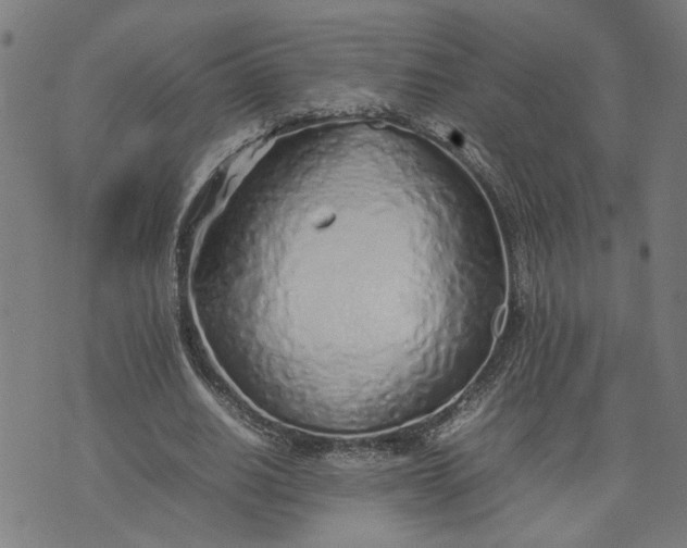 X0000074230630200609081622