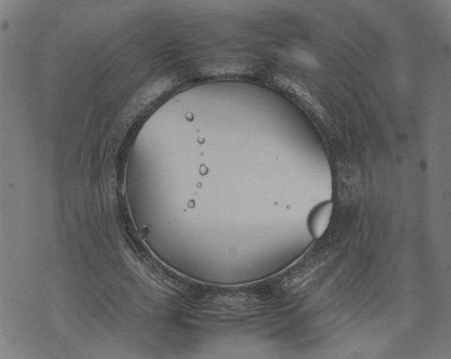 X0000074230631200609081622