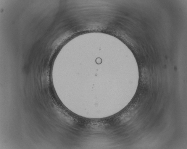 X0000074230632200609081622