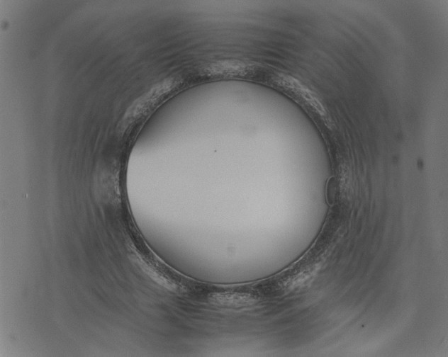 X0000074230633200609081622