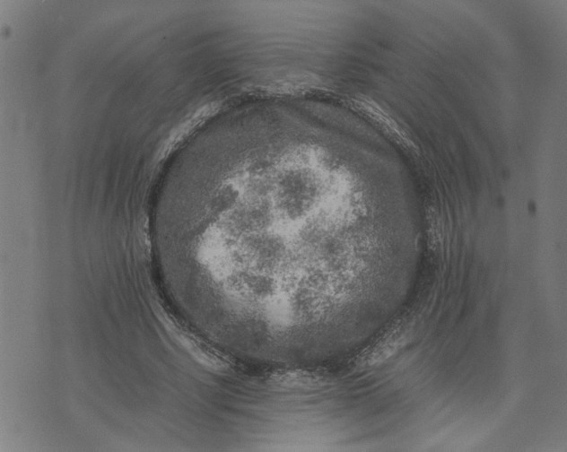 X0000074230634200609081622