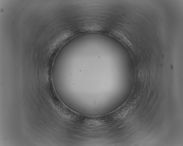 X0000074230635200609081622