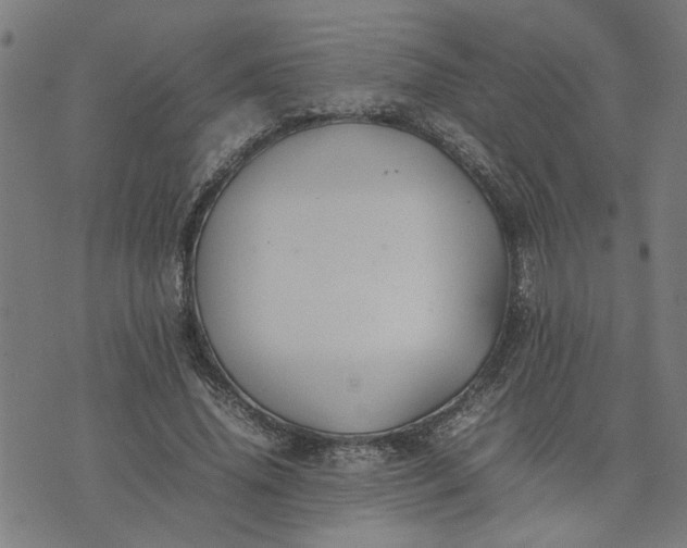 X0000074230636200609081622