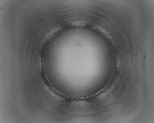 X0000074230637200609081622