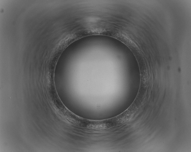 X0000074230639200609081622