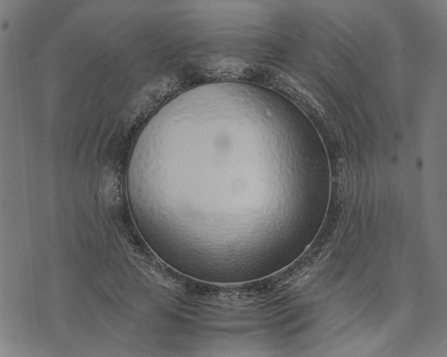 X0000074230641200609081622