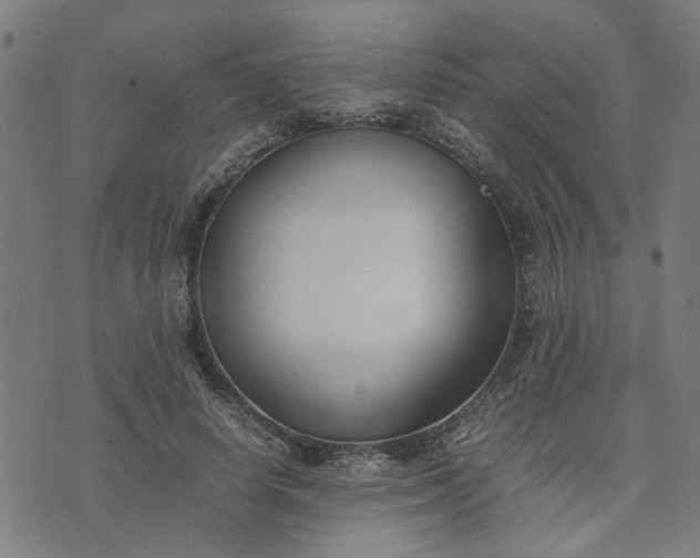 X0000074230642200609081622