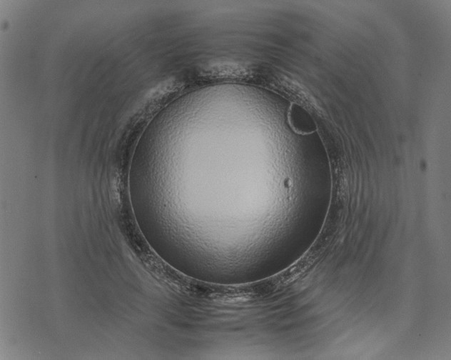 X0000074230643200609081622