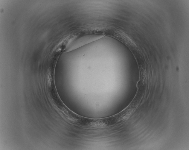 X0000074230644200609081622