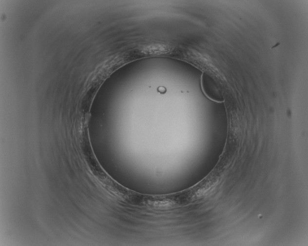 X0000074230645200609081622