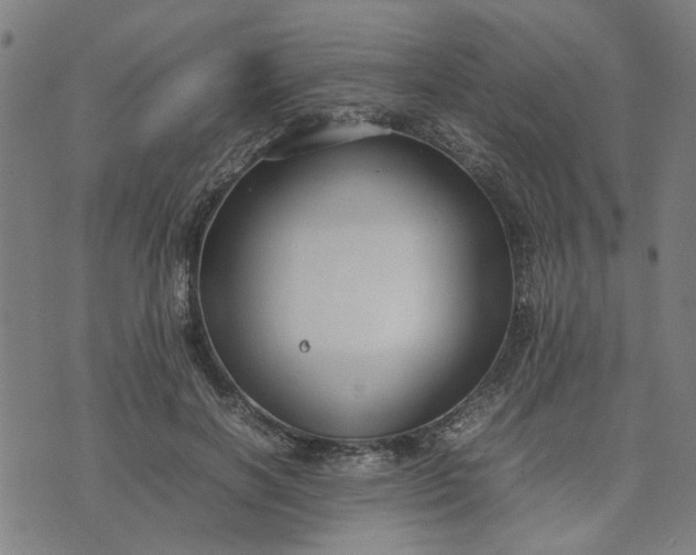 X0000074230646200609081622