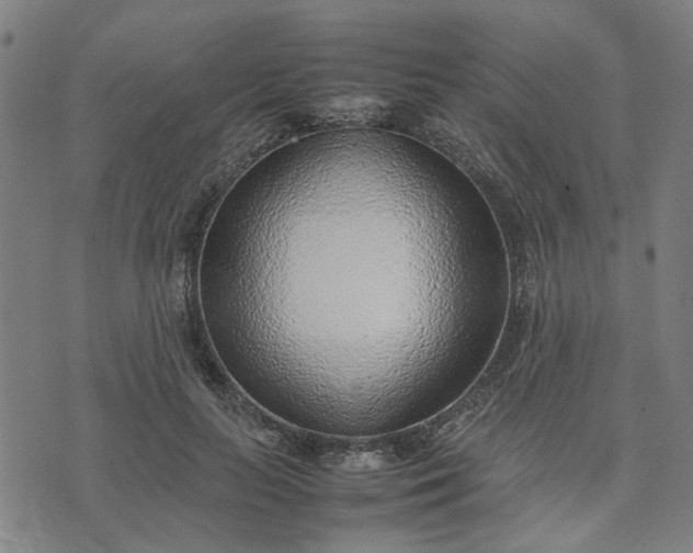 X0000074230647200609081622