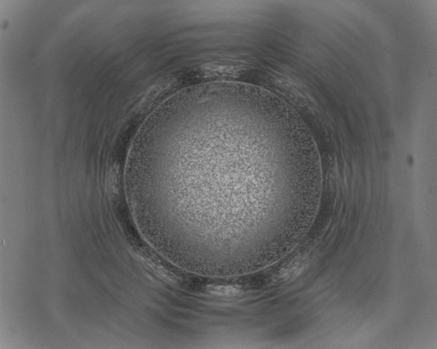 X0000074230649200609081622