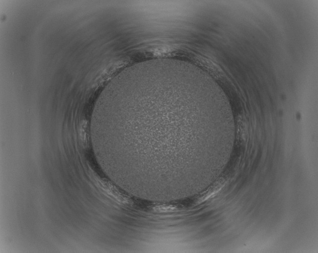 X0000074230650200609081622