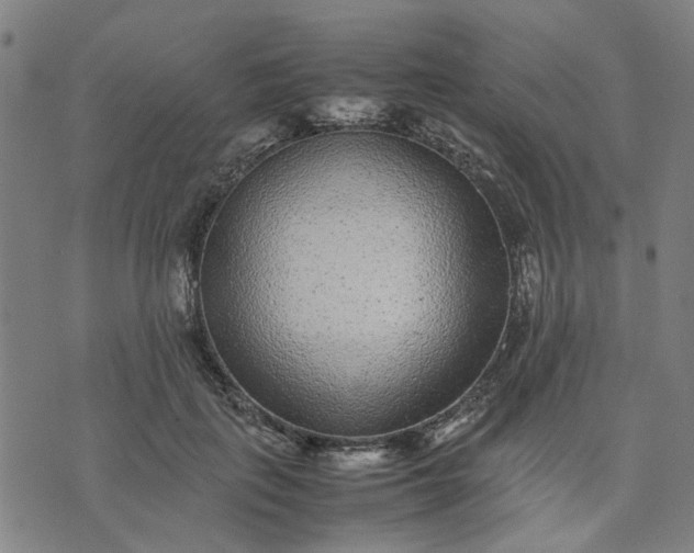 X0000074230651200609081622