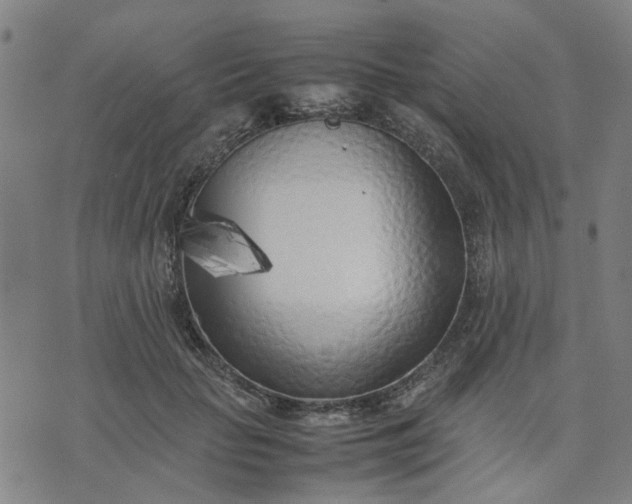 X0000074230653200609081622