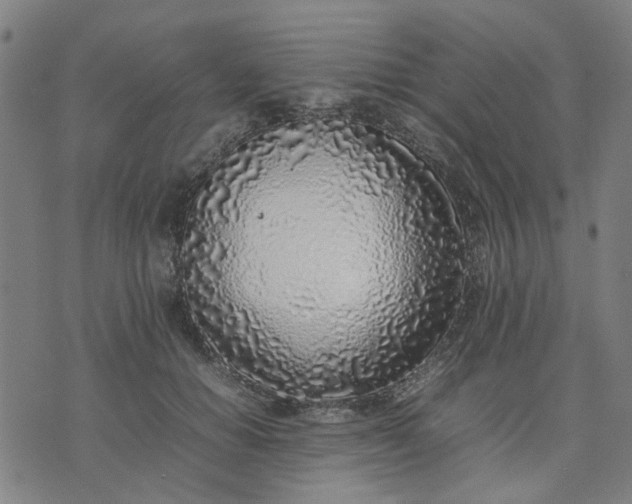 X0000074230654200609081622