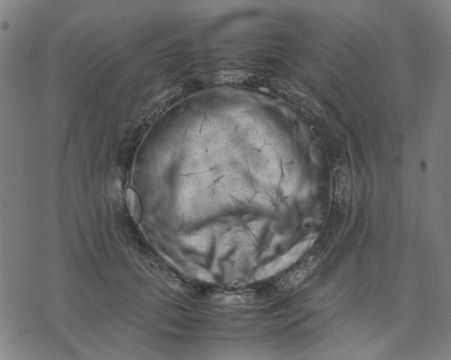 X0000074230655200609081622