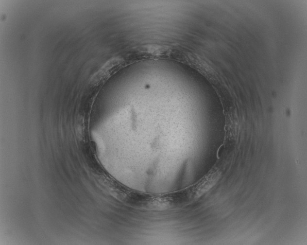 X0000074230656200609081622