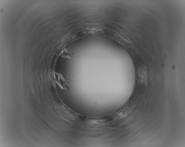 X0000074230657200609081622